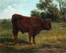 Bull Longhorn dans un paysage