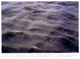 Sans titre (de la série Still Water (la Tamise de la rivière, pa