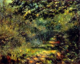 Chemin forestier