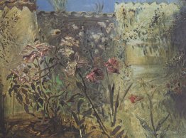 Le patio de Port Lligat