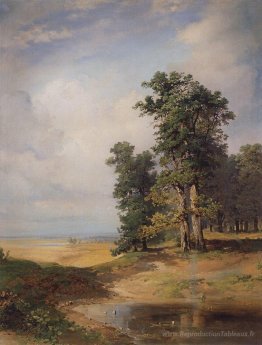Paysage d'été avec chêne