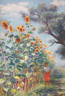 Le tournesol a grandi