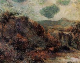 Paysage des montagnes