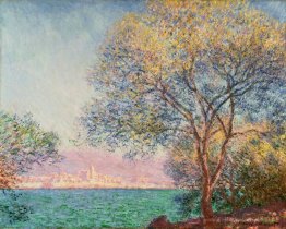 Antibes le matin