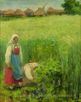 Filles de campagne
