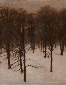 Søndermarken Park en hiver