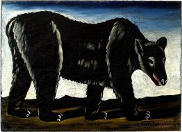 Ours noir