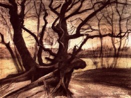 Étude d'un arbre