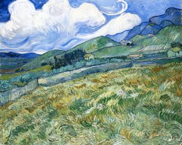 Wheatfield avec montagnes en arrière-plan