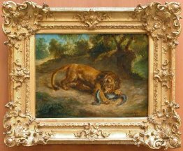 Lion et alligator