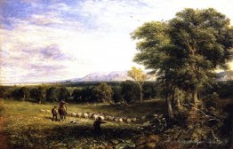 Vale de Clwyd