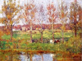 Vaches par le flux