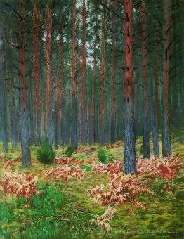 Paysage avec des fougères