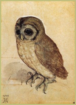 Le petit hibou