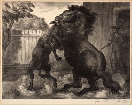 Stallion et Jack Fighting