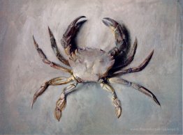 Crabe en velours