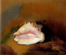Le coquillage