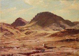 La colline de l'ombre rampante, Flinders Ranges