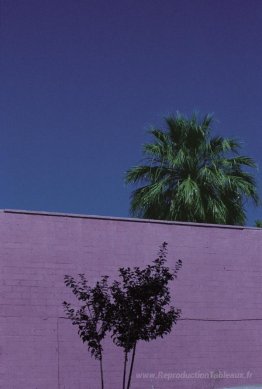 Paysage urbain, phénix