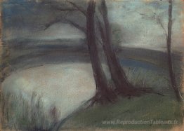 Weiher bei Einbruch der Dunkelheit