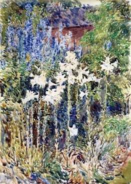 Jardin de fleurs