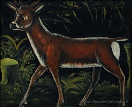 Capriolo fulvo