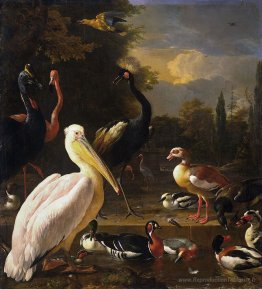Un pélican et d'autres oiseaux près d'une piscine (la plume flot