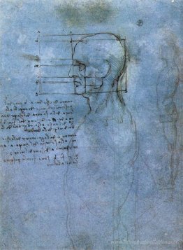 Étude de la proportion