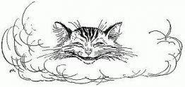 Le chat semblait penser qu'il y en avait assez maintenant en vue