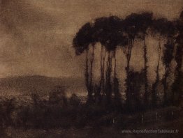Vallée des touques