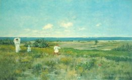 Près de la plage, shinnecock