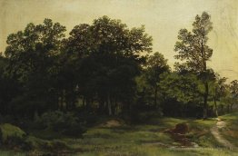 Forêt à feuilles caduques