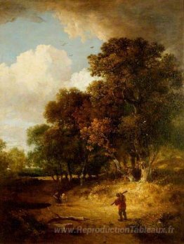 Un paysage ligneux