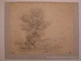 Paysage
