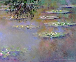 Nénuphars