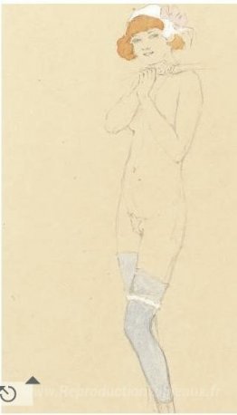 Dessins nus