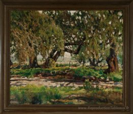 Edge du Oak Grove