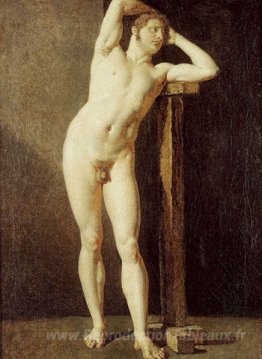 Mâle nude