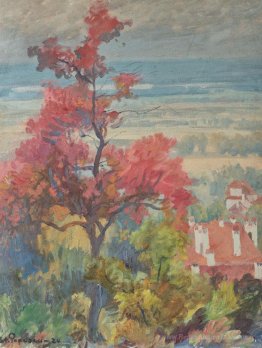 Paysage de la Provence