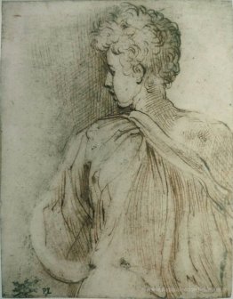 Jeune homme vu par derrière, visage de profil