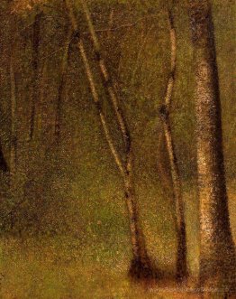 La forêt à Pontaubert
