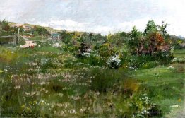Paysage de shinnecock