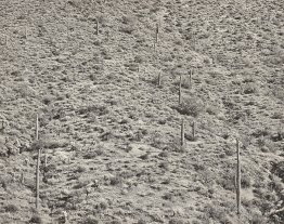 Arizona Landscape, 1945 (Gélatin Silver Photograph)
