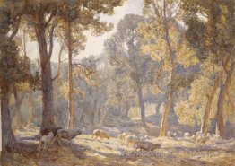 Matin d'été