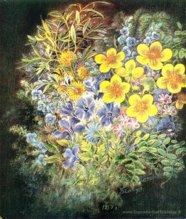 Fleurs