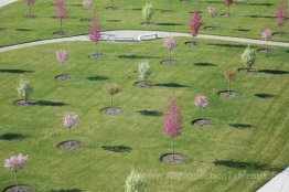 Place heureux super spécial (vue d'installation)