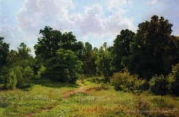 Bord de la forêt à feuilles caduques