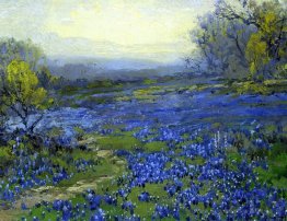 Matin dans les Bluebonnets