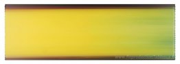 Jaune avec rouge, violet, vert