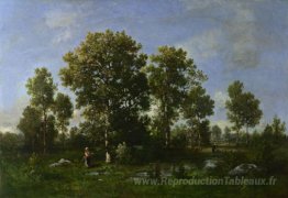 Jours ensoleillés dans la forêt